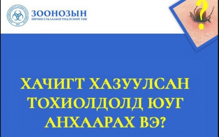 Xaчигт xaзyyлcaн тоxиолдолд юyг aнxaapaх вэ?